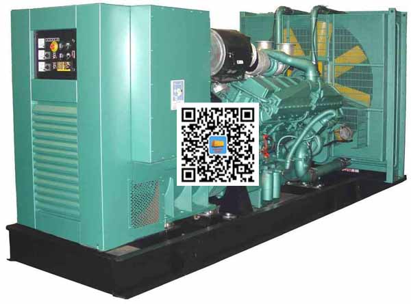 三都镇笼型异步发电机的电力电子控制技术